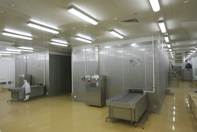 速凍機(jī) 速凍機(jī)